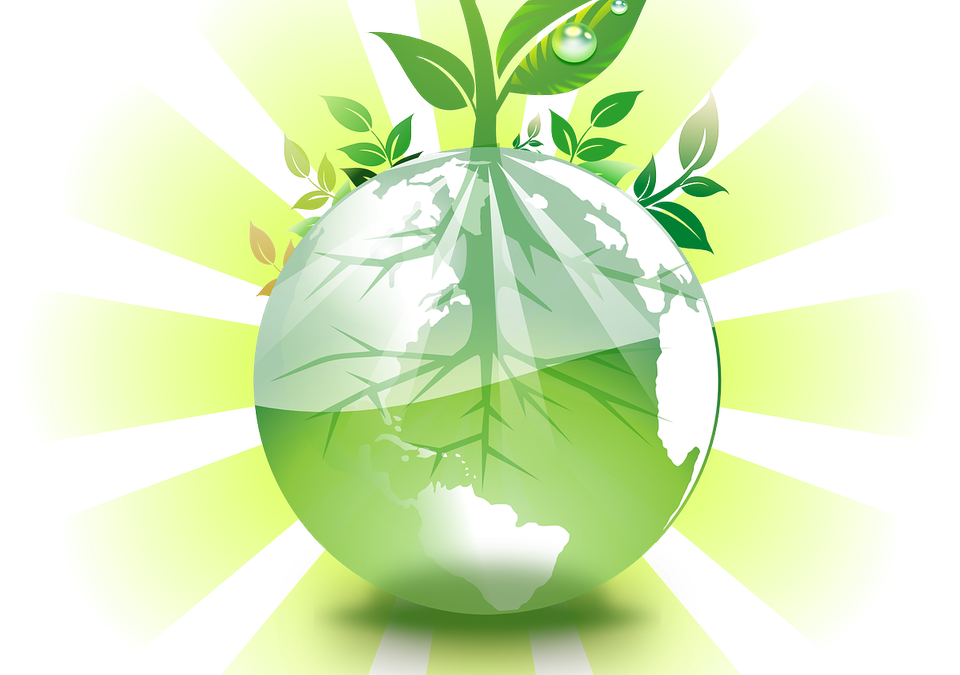 Energie Sparen